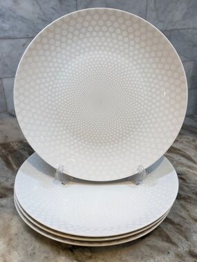 Mikasa Cheers Concentrical Circles Dots 11.5”  Dinner Plates Set of 4 EUC